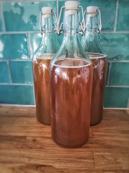 Bottiglie di Kombucha tea